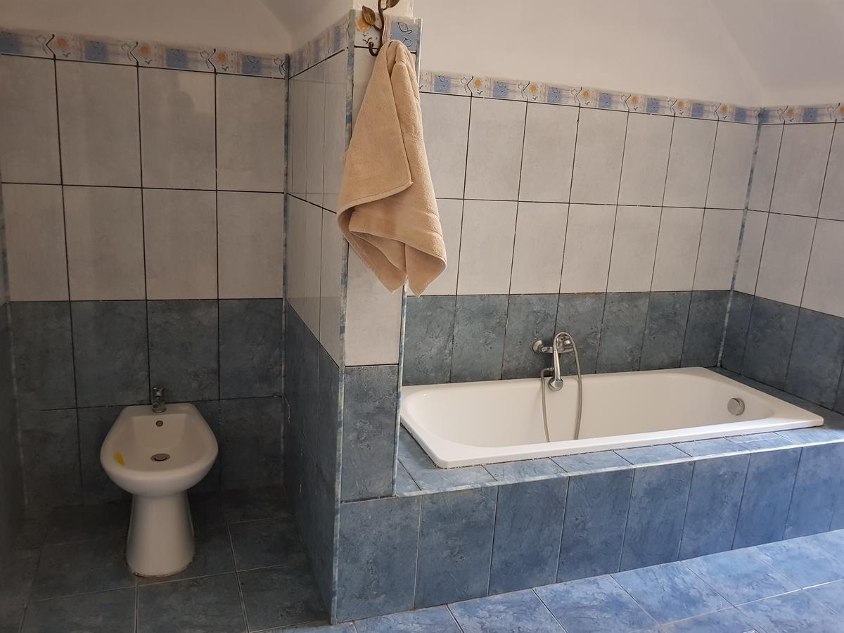 Casa Boiereasca Ostello Craiova Esterno foto